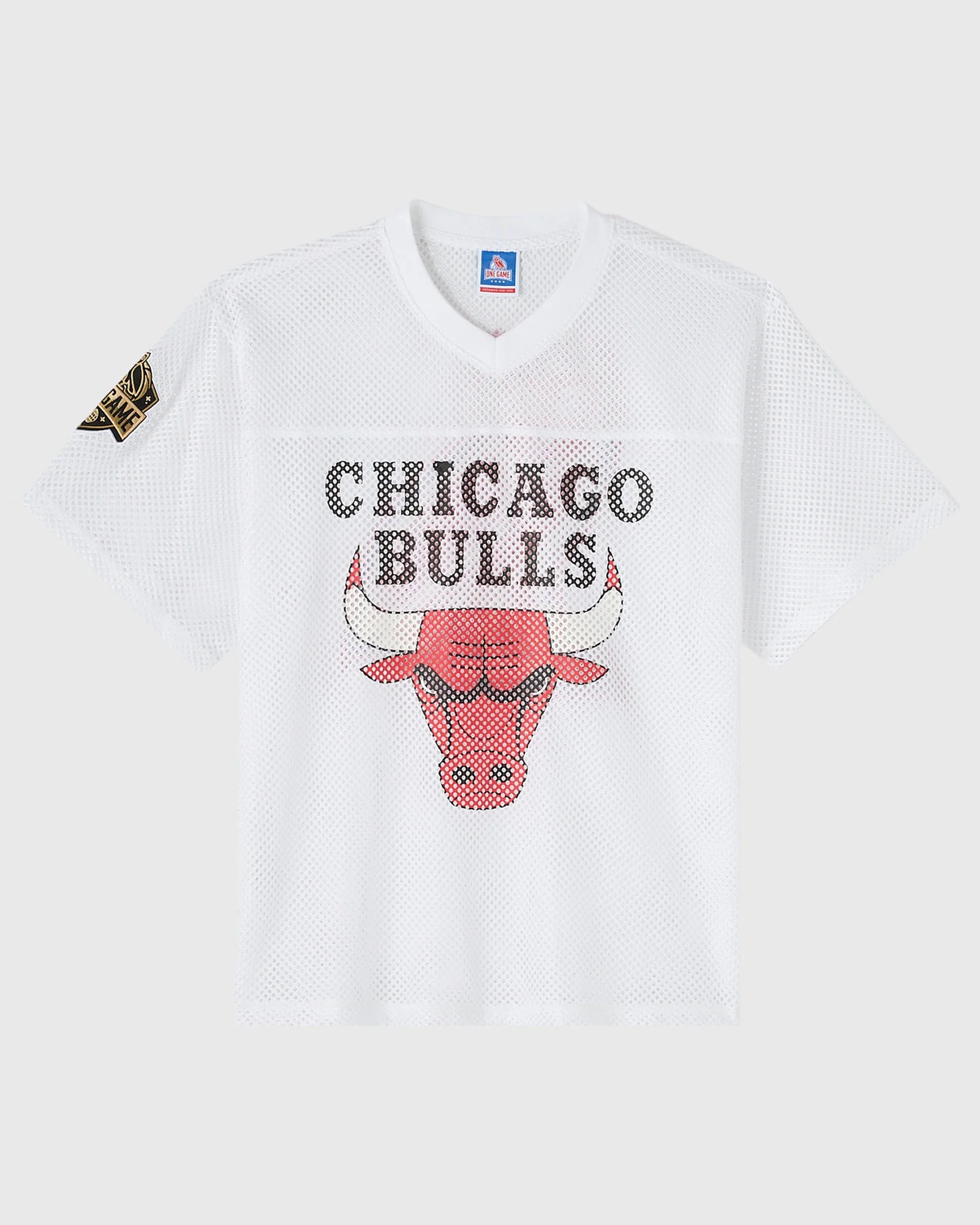 NBA Chicago Bulls Mesh Jersey - White